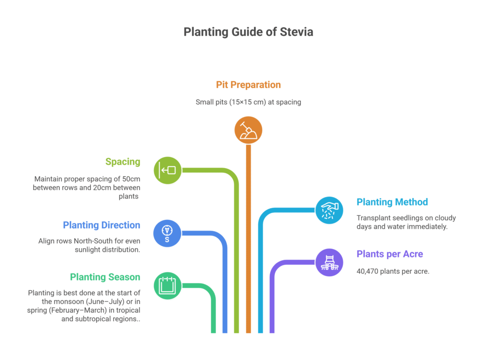 Stevia Farming Profit Per Acre