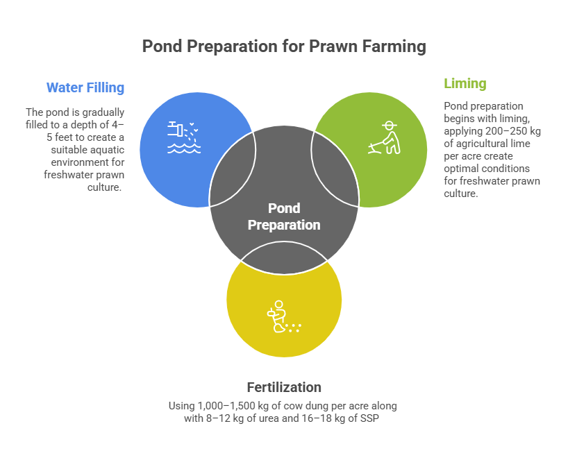 Freshwater Prawn Farming Profit per Acre