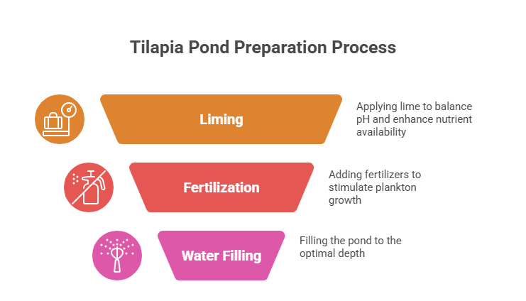 Tilapia Farming Profit Per Acre