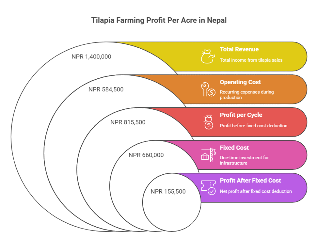 Tilapia Farming Profit Per Acre