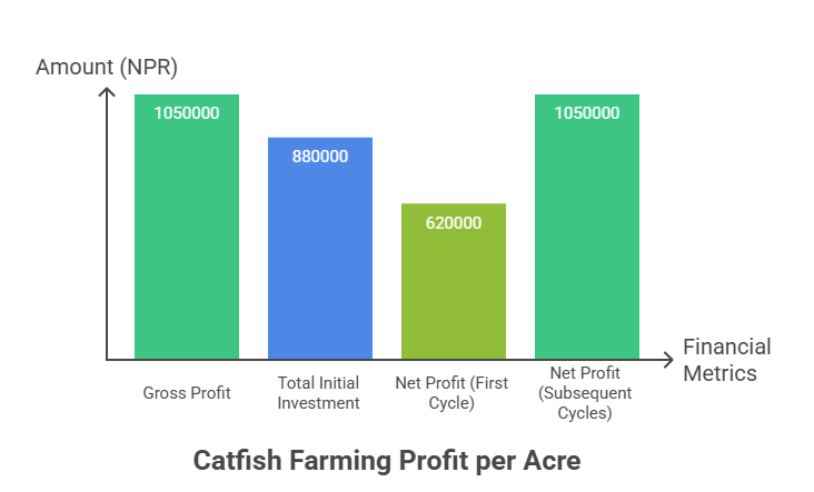Catfish Farming Profit Per Acre