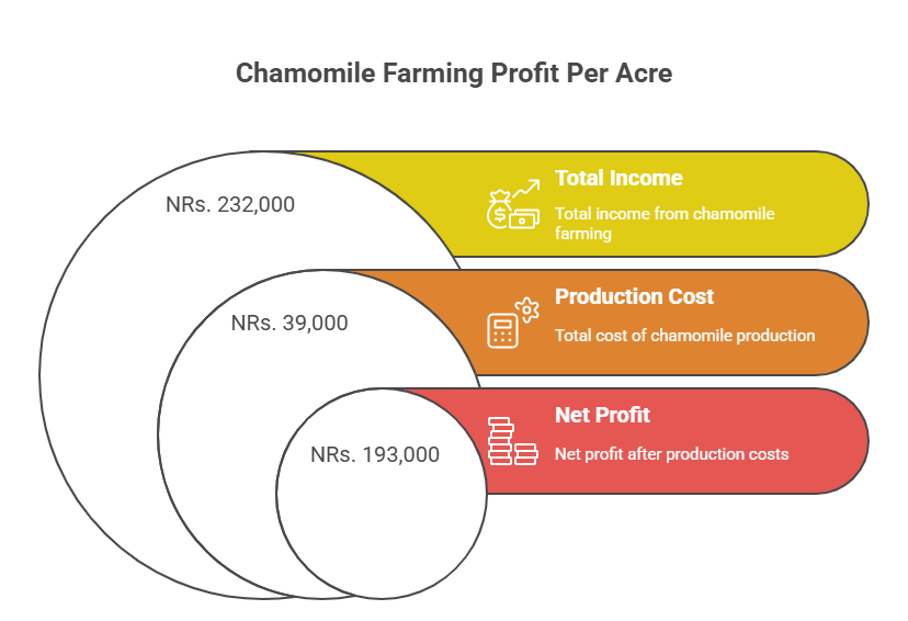 Chamomile Farming Profit Per Acre